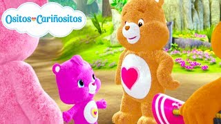 Ositos Cariñositos  El Regreso a la Escuela  Compilación de 2 Horas [upl. by Eninahpets]