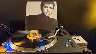 Red Rain  Peter Gabriel Lp Vinyl [upl. by Neladgam]