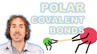 Polar Covalent Bonds [upl. by Malchy]