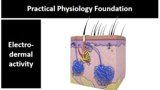 practical physio found  Electrodermal activity  Adham Saleh [upl. by Collar415]