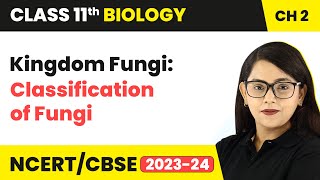 Kingdom Fungi Classification of Fungi  Class 11 Biology Chapter 2  NCERTCBSE [upl. by Caasi194]