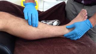 Dry Needling Extensor Digitorum Longus [upl. by Einahpats]