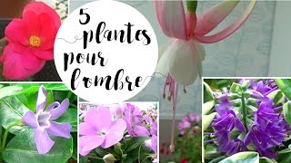 ✿ 5 plantes pour des fleurs à lombre ou en miombre [upl. by Okomom]