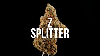 Bathera ZSplitter Review [upl. by Zirtaeb261]