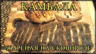 Вкуснейшая Камбала  жареная на сковороде [upl. by Apfelstadt]