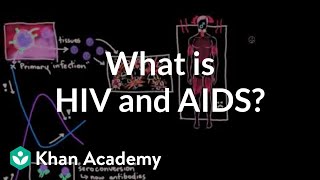 What is HIV and AIDS  Infectious diseases  NCLEXRN  Khan Academy [upl. by Essenaj]