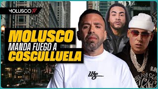 “Concentrate en lo tuyo” Molusco manda fuego a Cosculluela  Don Omar envía MENSAJE AUTORIZADO [upl. by Ranice]