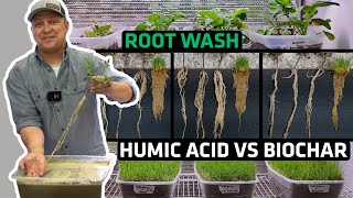 Humic Acid and Biochar Rooting Mass Must See [upl. by Suzette307]