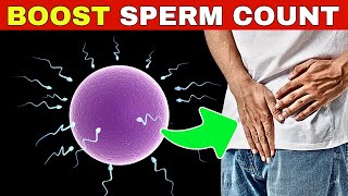 How to increase Sperm Count  Foods That Boost Sperm Quality amp Fertility [upl. by Persian]