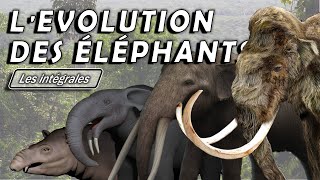 Lévolution des éléphants  Intégrale  Évolution  Paléontologie  Simplex Paléo [upl. by Annazor873]