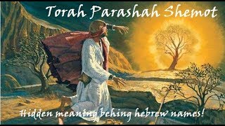 13  Torah Parashah Shemot [upl. by Raymund622]