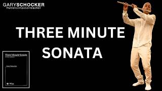 SCHOCKER Plays Schocker 2024 in Concert THREE MINUTE SONATA schocker flute music [upl. by Motch911]