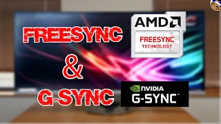 Cómo activar FreeSync y GSync [upl. by Ayotahs]