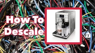 How To Descale A Saeco  Morning Maintenance [upl. by Akineg]