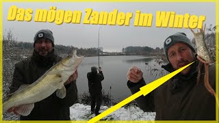 Zander und Hechtangeln mit Köderfisch im Winter bei Schnee  Deadbaiting im Winter [upl. by Trebleda]