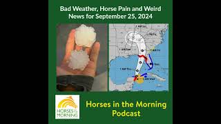 Bad Weather Horse Pain and Weird News for September 25 2024 [upl. by Croix]