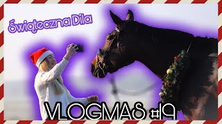 VLOGMAS 19 amp 20  ZIMOWA SESJA Z DILĄ  ŚWIĄTECZNY KOŃ [upl. by Ater]