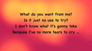 Rehab  What do you want from me lyrics [upl. by Ecneralc]