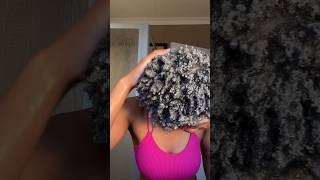 4C Hair Washday routine washdayroutine 4chair shortsvideo [upl. by Eustis427]