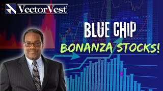 The Ultimate Guide to Buying Blue Chip Stocks  VectorVest [upl. by Eenehs222]