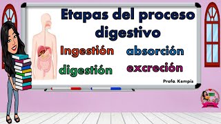 Etapas del proceso digestivo ingestión digestión absorción y excreción [upl. by Otrebliw875]