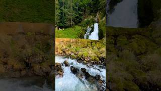 Waterfalls of Switzerland Pure Alpine Magic  waterfalls switzerland swissnature shorts [upl. by Eitsyrhc301]