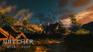 The Witcher 3  First Person Walk in Novigrad  Music amp Ambience [upl. by Sumner]