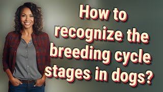 How to recognize the breeding cycle stages in dogs [upl. by Sille777]