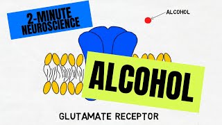 2Minute Neuroscience Alcohol [upl. by Lorianne]