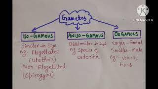 Types of gametes HPTET 2024 November [upl. by Claire]