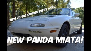 New Panda Miata [upl. by Wampler47]