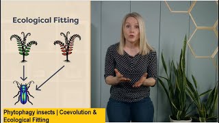 Phytophagy insects  Coevolution amp Ecological Fitting  plant feeding insects  pollination  0602 [upl. by Aronel]