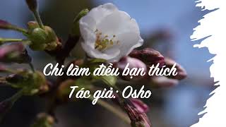 Chỉ Làm Điều Bạn Thích  Sách nói Osho [upl. by Ahseik]