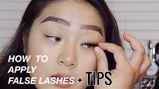 How to Apply False Lashes for Beginners  tips and tricks for Hooded Eyes  EyesOnJess [upl. by Diahann]