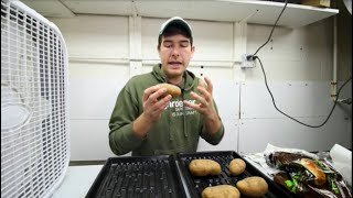 How to Force Eyes to Make Your Own Seed Potatoes [upl. by Lamberto]