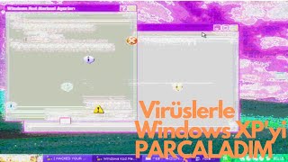 3 Tehlikeli Virüsle Windows XPyi PARÇALADIM [upl. by Eiramlehcar973]