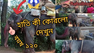 Hathi kivabe dhaan khai blog video [upl. by Ydissak]