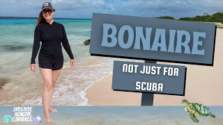 Top things to do in Bonaire when you dont scuba [upl. by Assirialc]