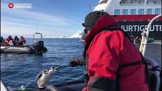 Hurtigruten expedition cruises in Antarctica [upl. by Mathi]