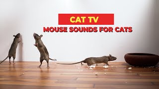 Mouse Sounds Compilation for Cats🐀 CAT TV 🐈 Mouse Sounds to Attract Cats 3 Hours [upl. by Marella537]