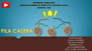 Pila casera A base de papas [upl. by Atilehs720]