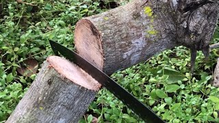 Cutting the tree in forests 🌳 foryou firewood nature woodworking woodcutter work fyp viral [upl. by Amlus236]