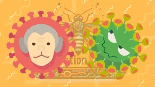 Knowing the difference between DNA and RNA viruses Mpox vs SARSCoV2 viruses [upl. by Finny]