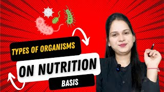 Types of organisms on the basis nutrition [upl. by Truk]