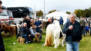 The Ballinsloe Horse Fair 2022 [upl. by Eboh124]