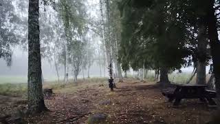 10 ⁰⁰ fog in Hudiksvall sweden [upl. by Hpotsirhc]