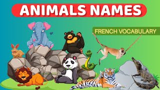 Learn the names of Animals in French basic French vocabulary [upl. by Neeluqcaj]