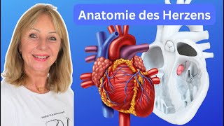 Anatomie des Herzens mit Blutfluss  Dr Claudia Bignion [upl. by Joanne638]