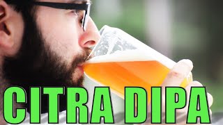 Brewing a HAZY DOUBLE IPA with CITRA  Grain to Glass  Classic Styles [upl. by Sivla715]