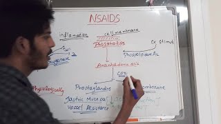 NSAIDs Pharmacology [upl. by Goldwin879]